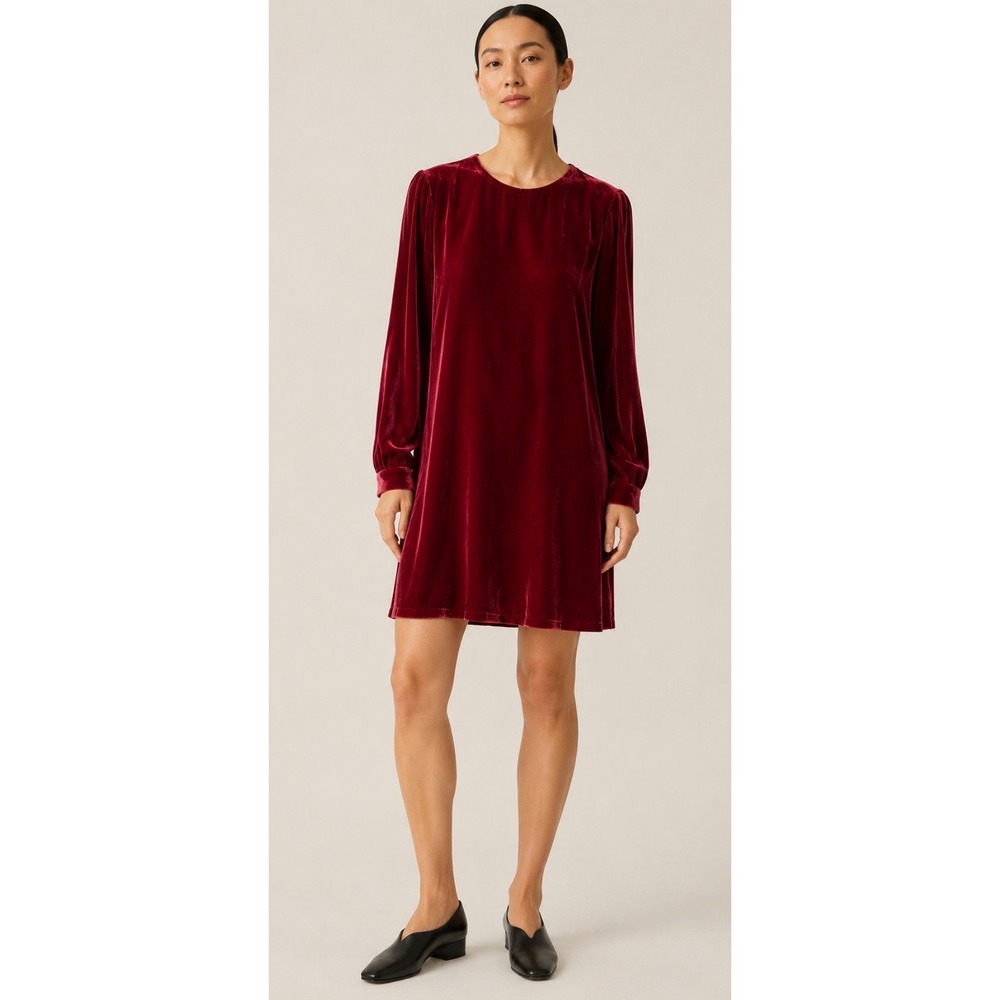 Eileen Fisher Velvet Silk Blend long sleeve Shift Dress Red Small NWOT
Holiday